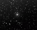 swan09_anim9×120sec_2009-06-06t16h55m-ut.gif